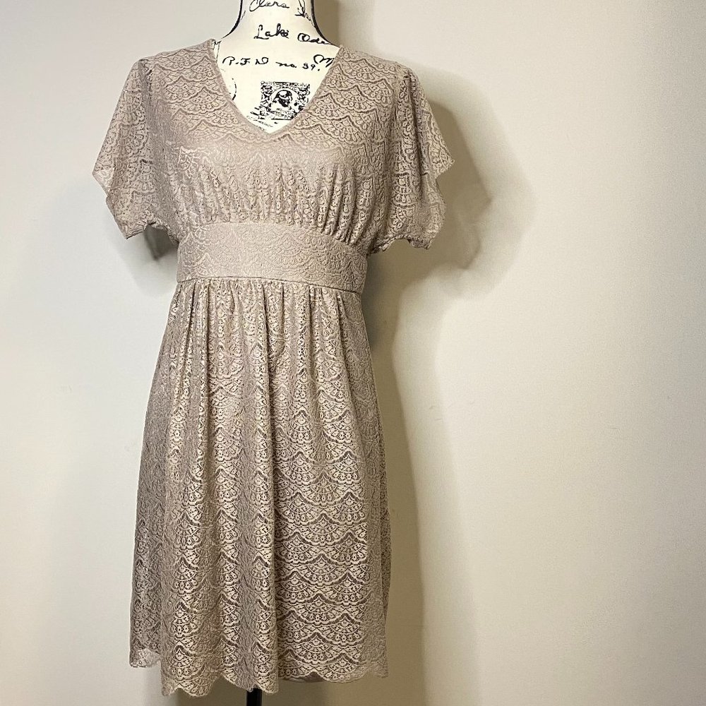 Adrianna Papell Lined Lace Dress